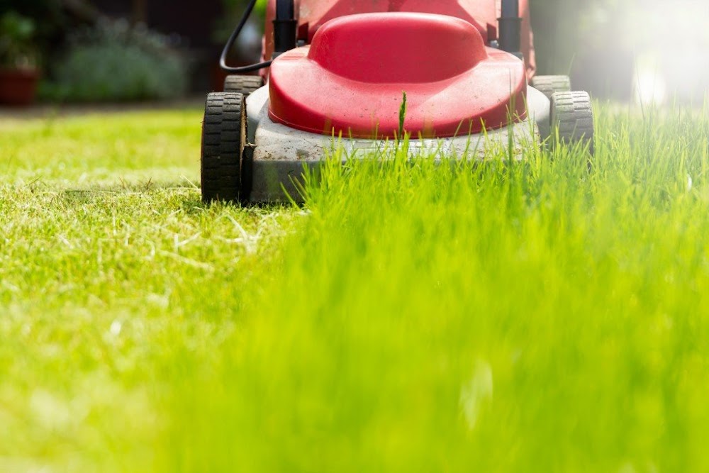 JR Lawn Mowing