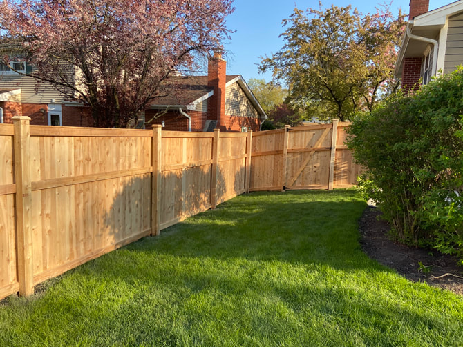 Surrey Deck and Fence