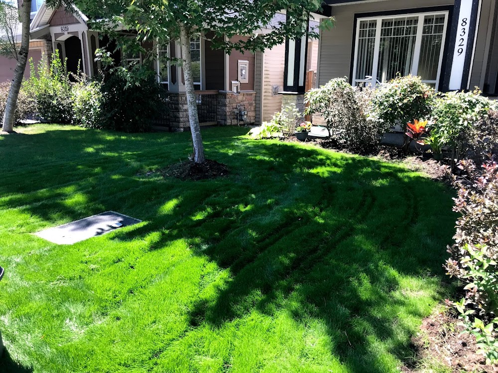 Turf Guys Landscaping Surrey