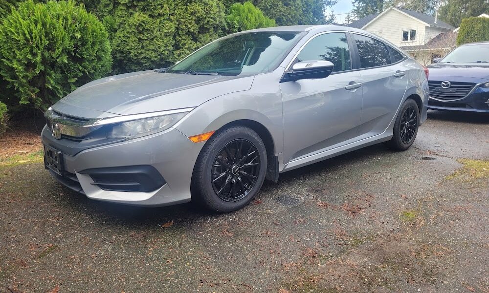 VYBRANT MOBILE DETAILING