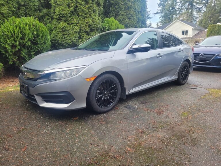 VYBRANT MOBILE DETAILING