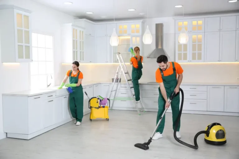 Casa Terra Cleaning